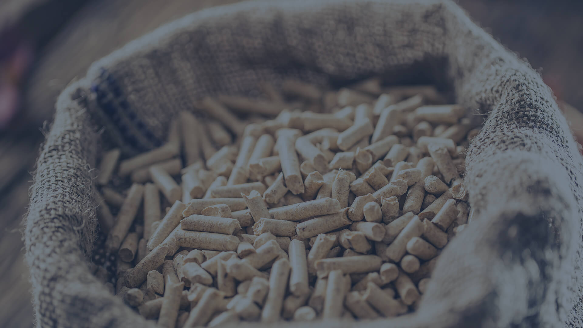 Wood Pellet Pre-Buy