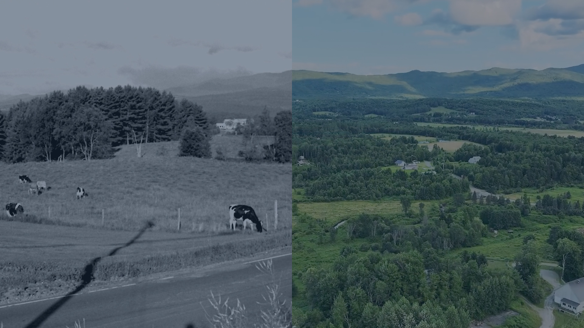 A Tale as Old as Time