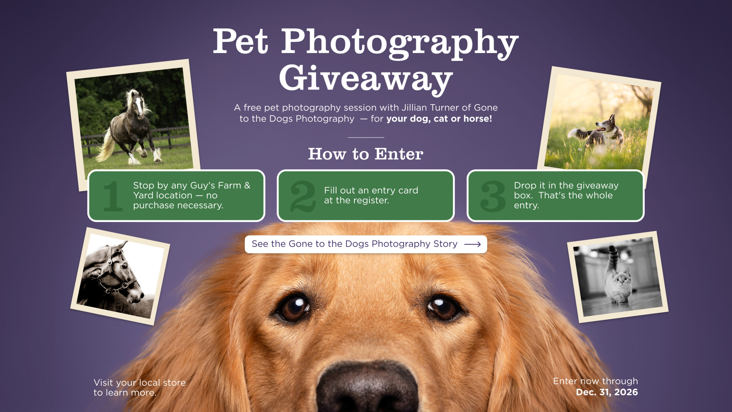 Pet Photography Giveaway